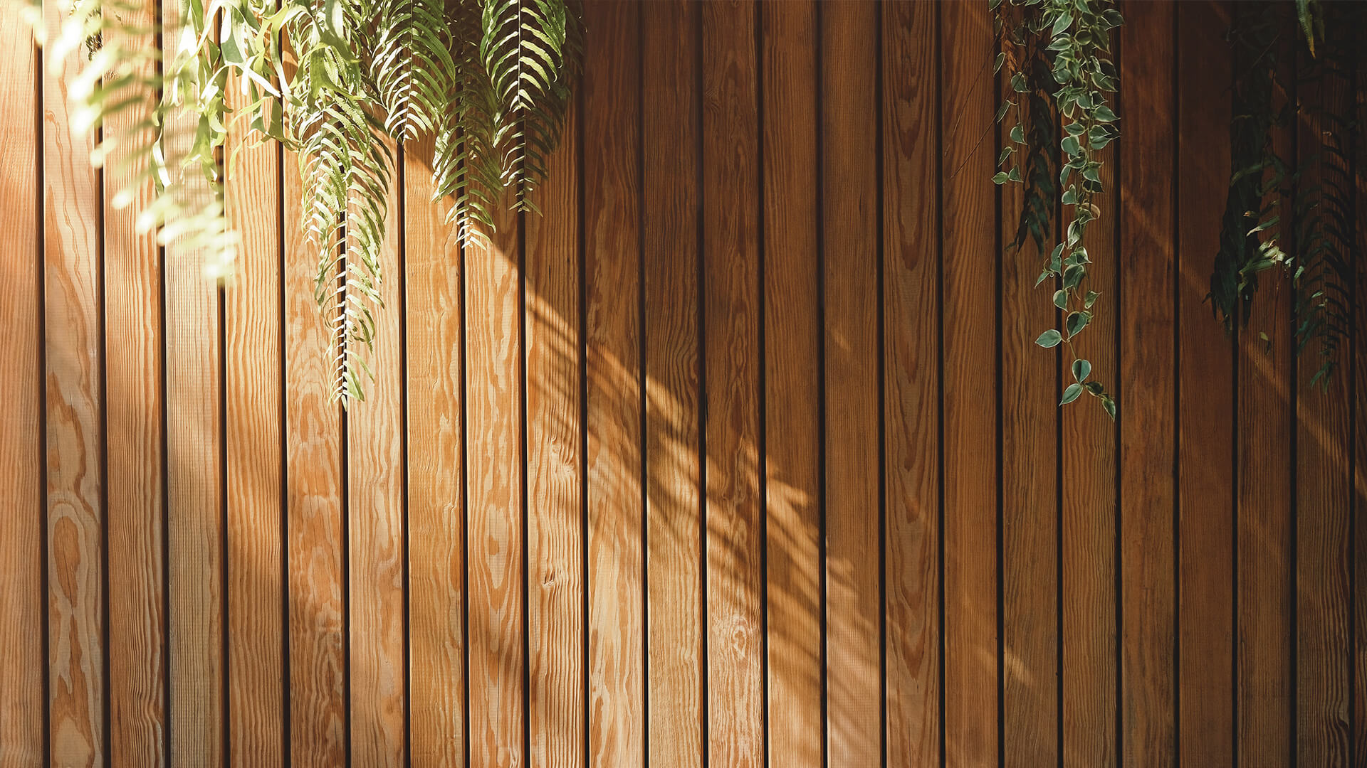 Elige el mejor lasur para impermeabilizar la valla de su jardín desgastada 