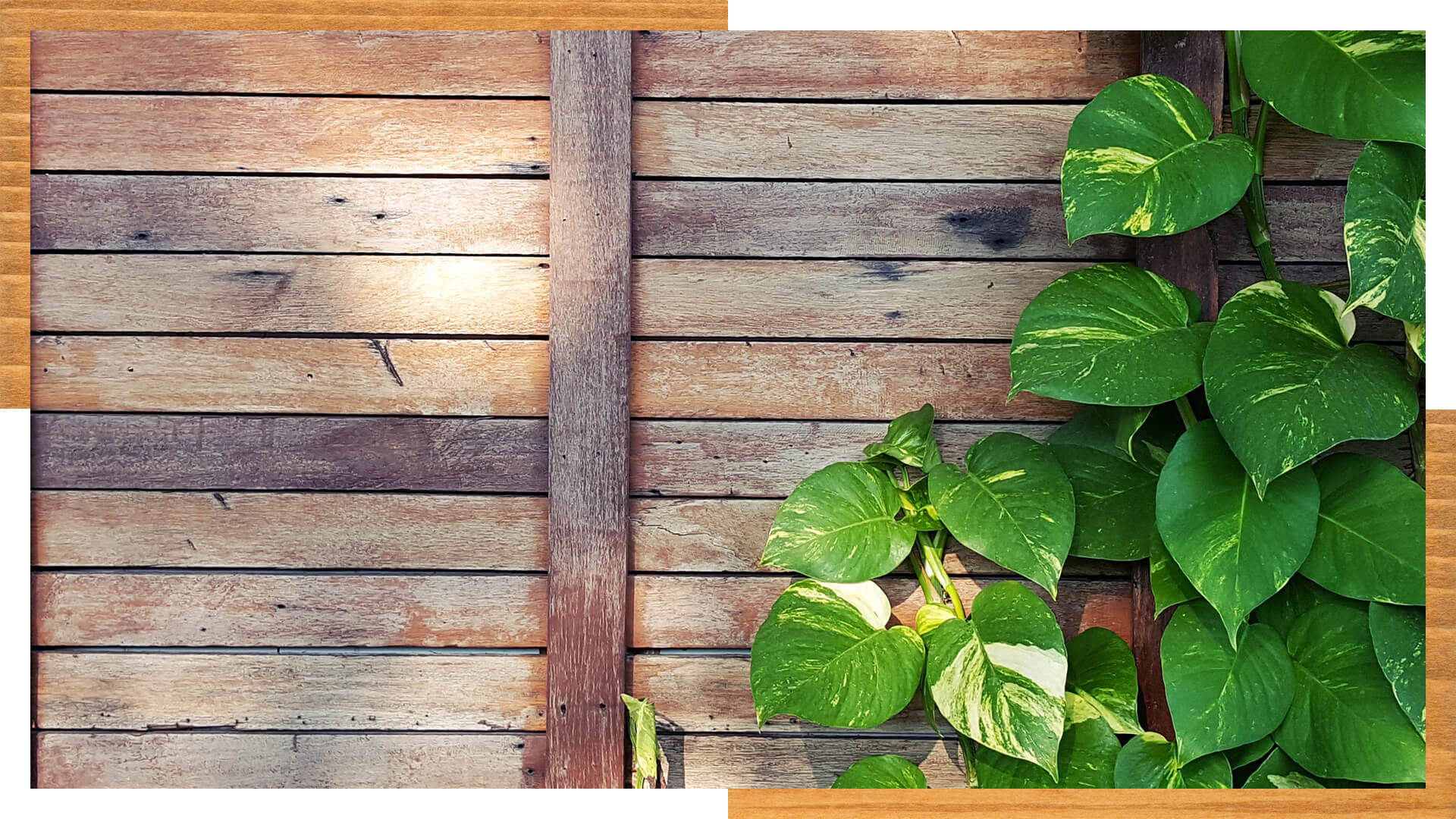 Vaya de jardín sin pintar