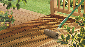 Video aplicación Aceite Teca